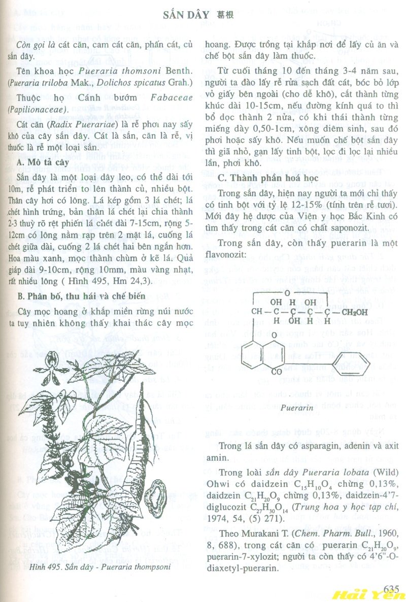 sắn dây - cát căn trong sách đông y (trang 635)