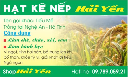 hạt kê