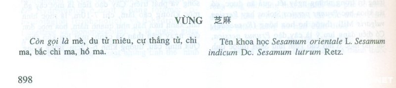 hạt mè hạt vừng trong sách động y (tr. 898)
