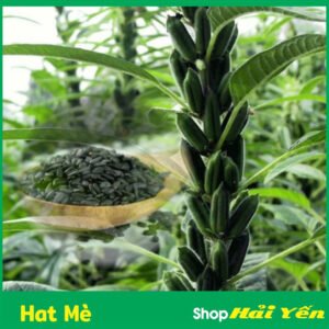 hạt mè, hạt vừng