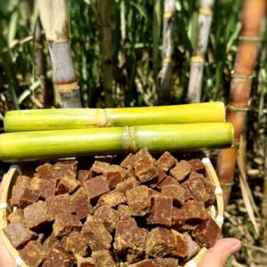 Đường mía thô Hà thủ ô